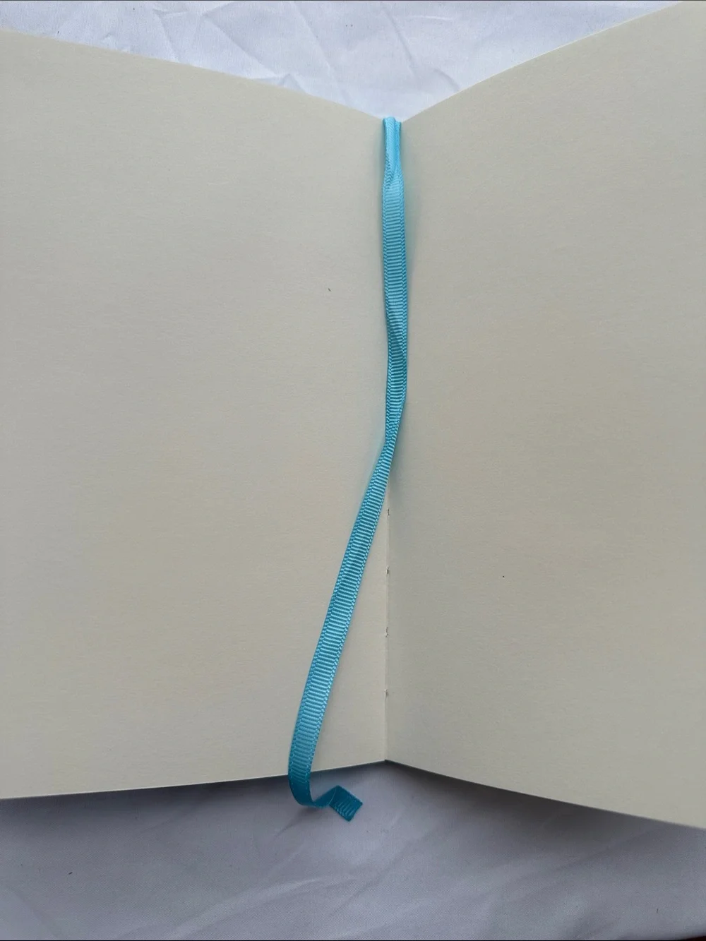 Set of Two Journals
